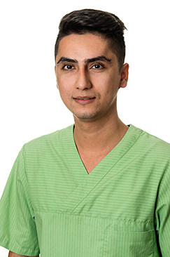 Mujtaba Gholami
